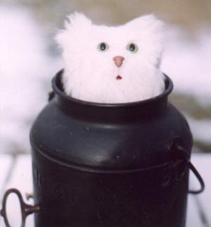 Cat in a Can